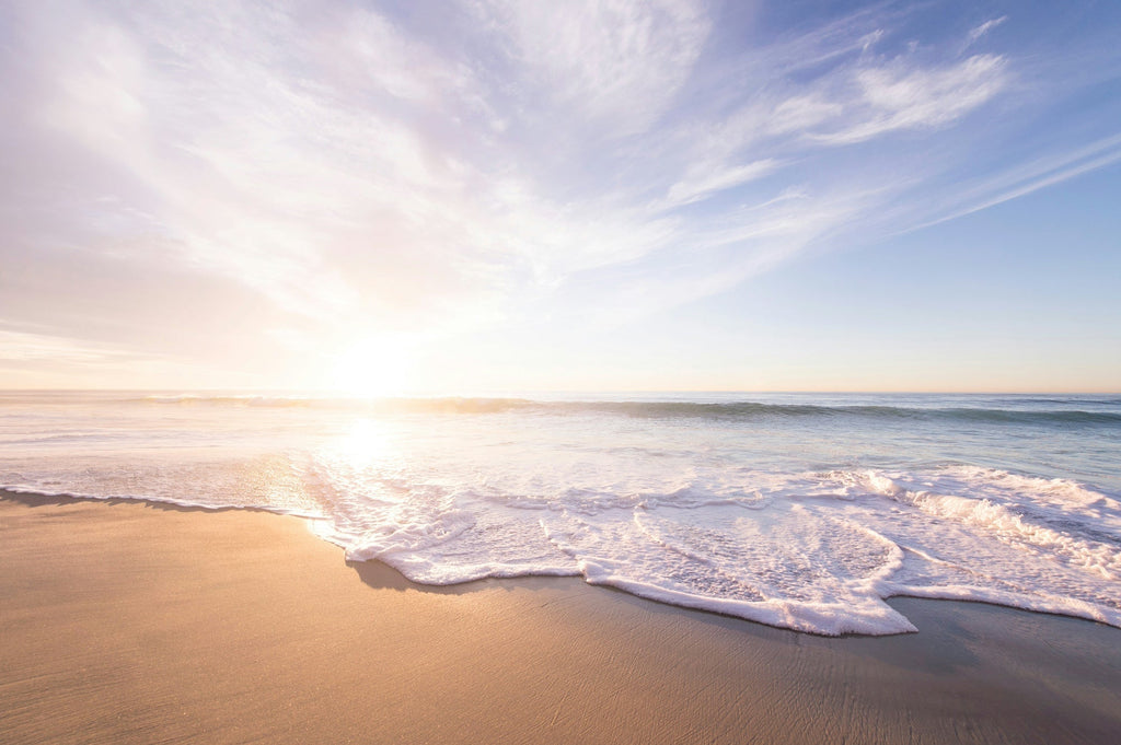 Beauty, Brains, and Success: You Can Have It All